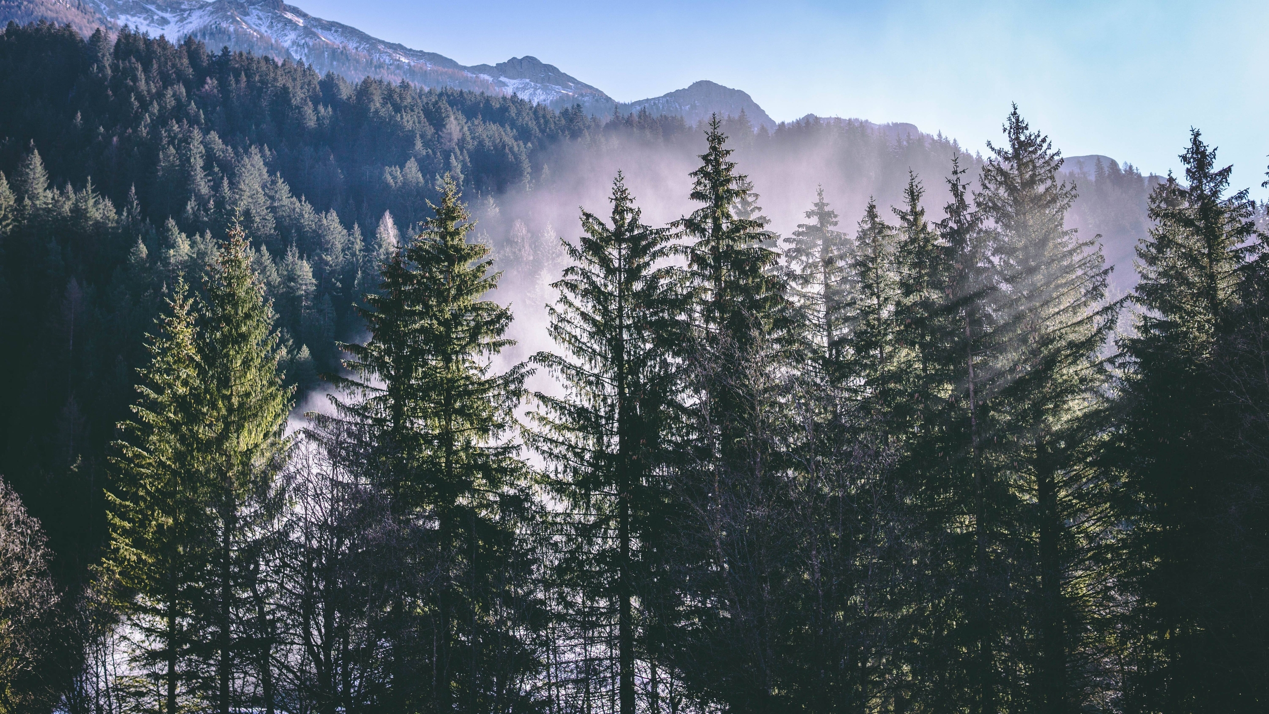 Immagine: montagne