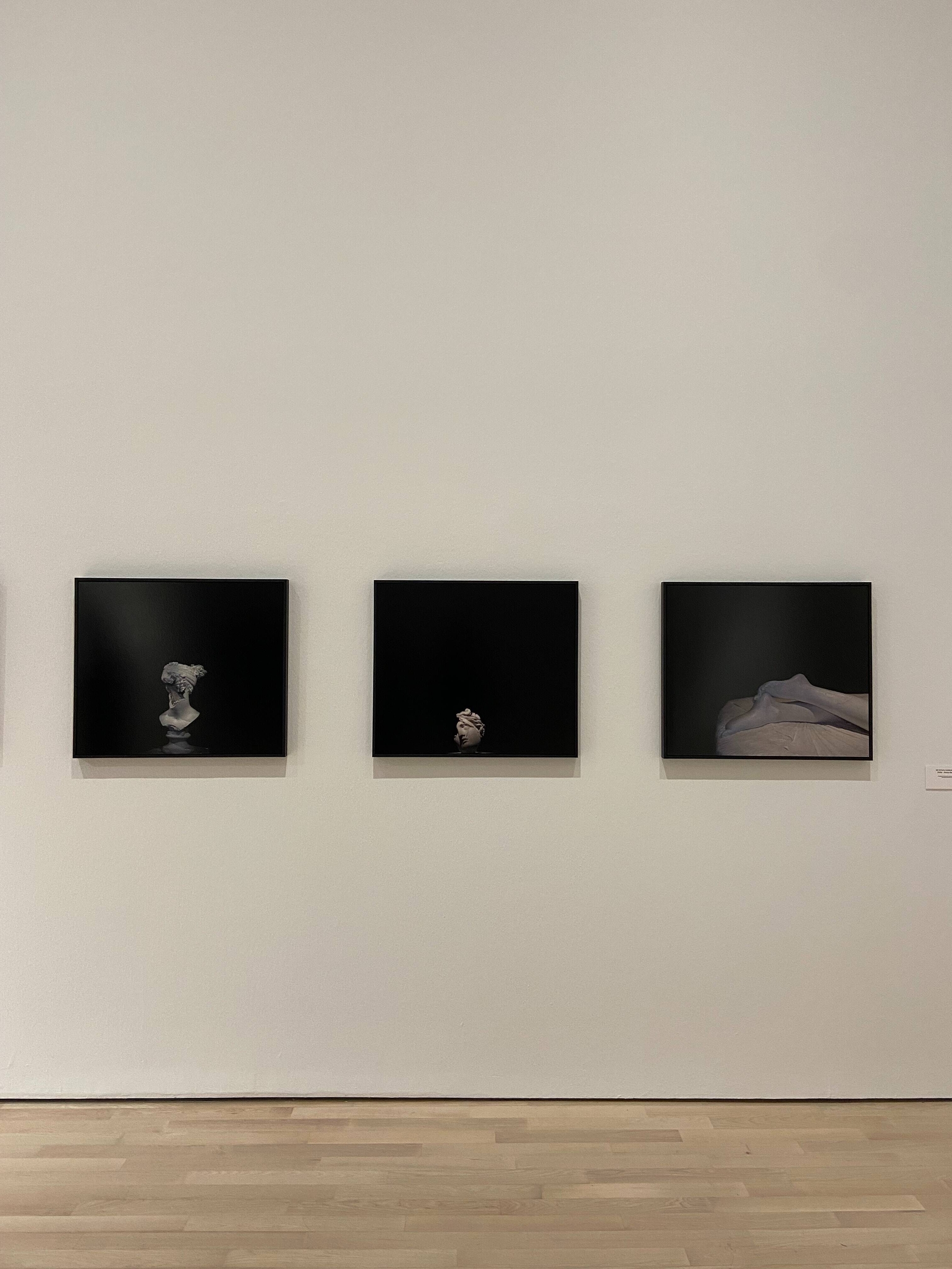 Immagine: Mostra