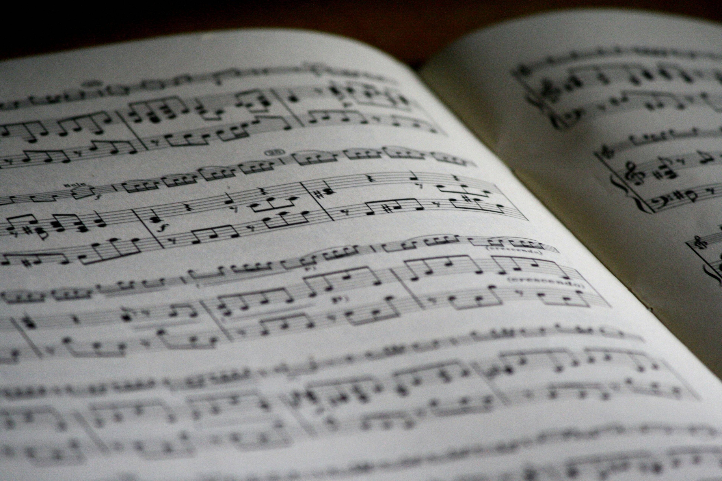 Immagine: Musica e canto