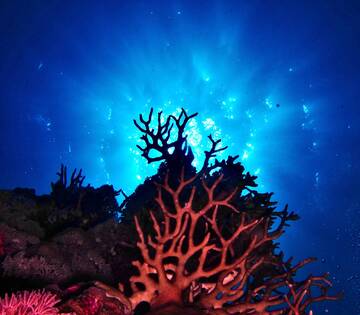 Blue Economy Forum