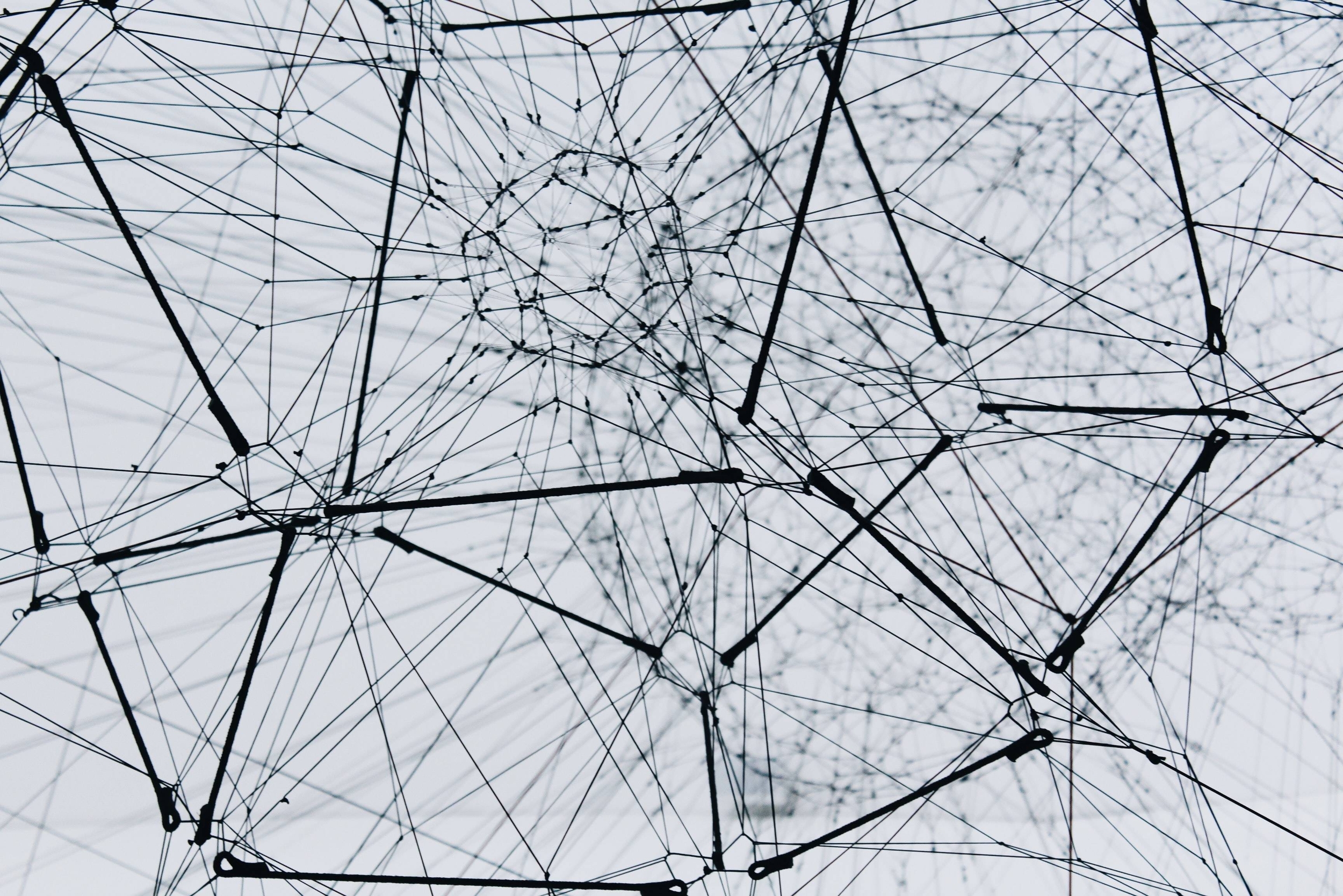 Immagine: network