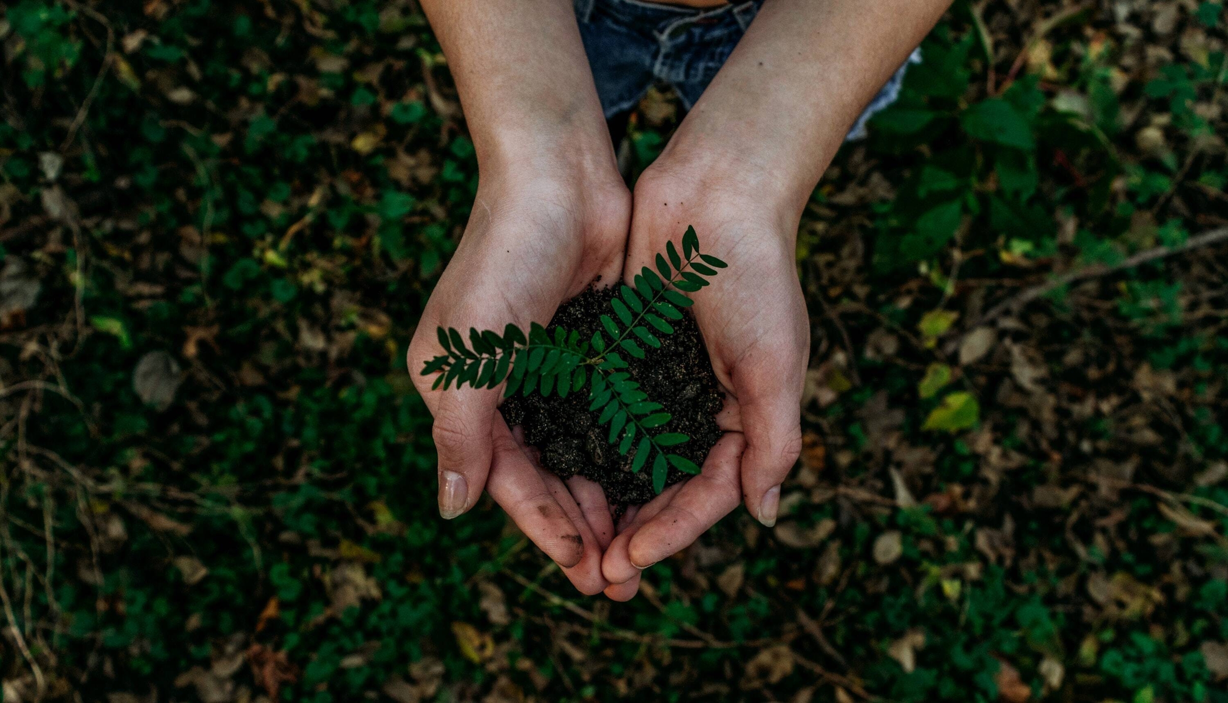 Immagine: noah-buscher-x8ZStukS2PM-unsplash