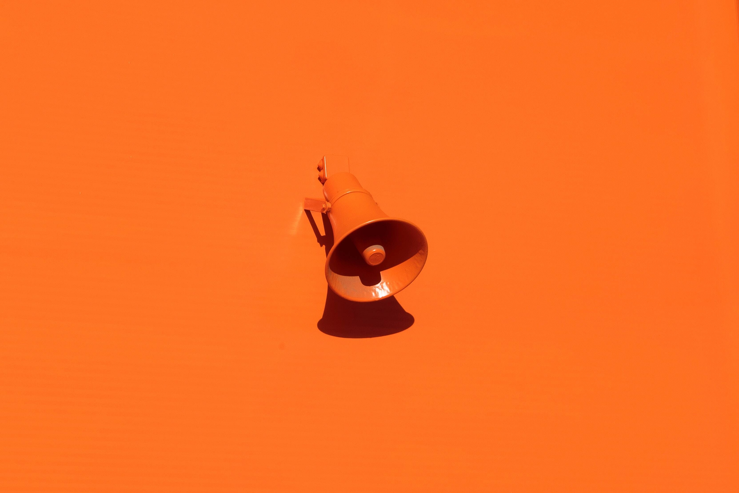 Immagine: oleg-laptev-QRKJwE6yfJo-unsplash