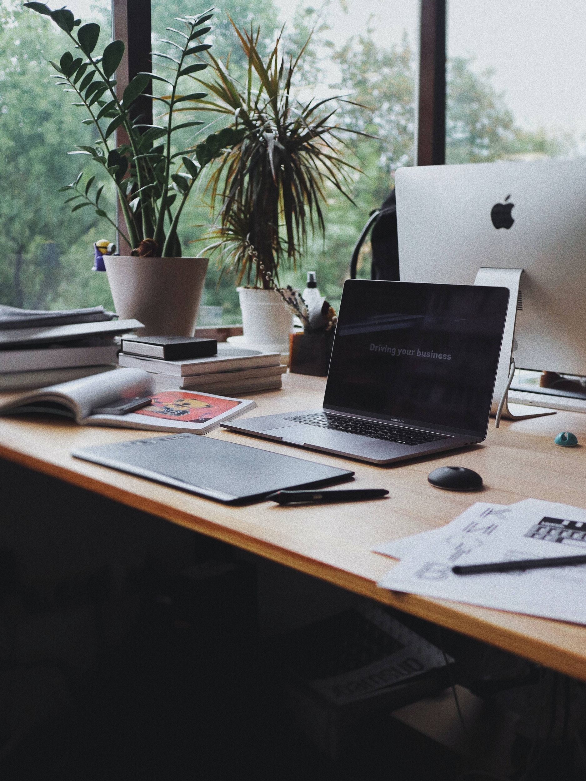 Immagine: olena-sergienko-dIMJWLx1YbE-unsplash