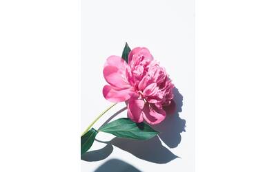 Immagine: olia-gozha-9A_peGrSbZc-unsplash (1)