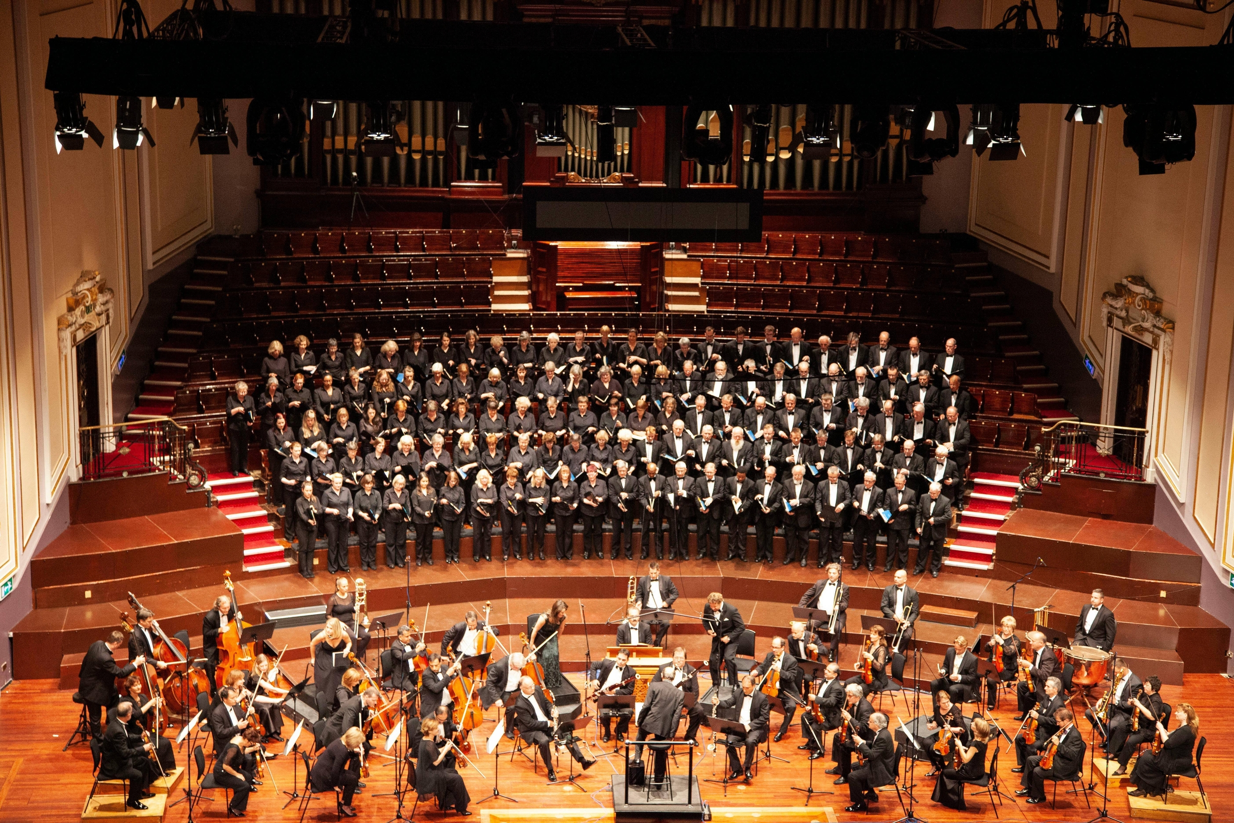 Immagine: Orchestra