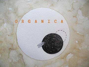 ＯＲＧＡＮＩＣＡ | Laboratori