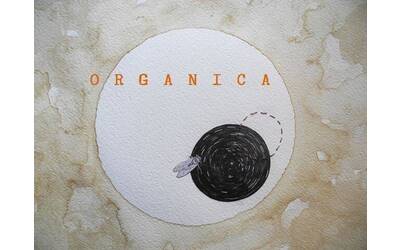 Immagine: Organica