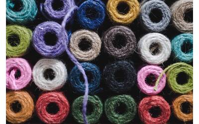 Immagine: Organizzazioni