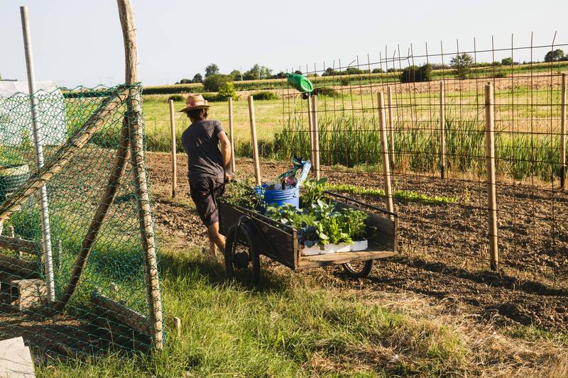 Volontariato ESC in Danimarca con LØS