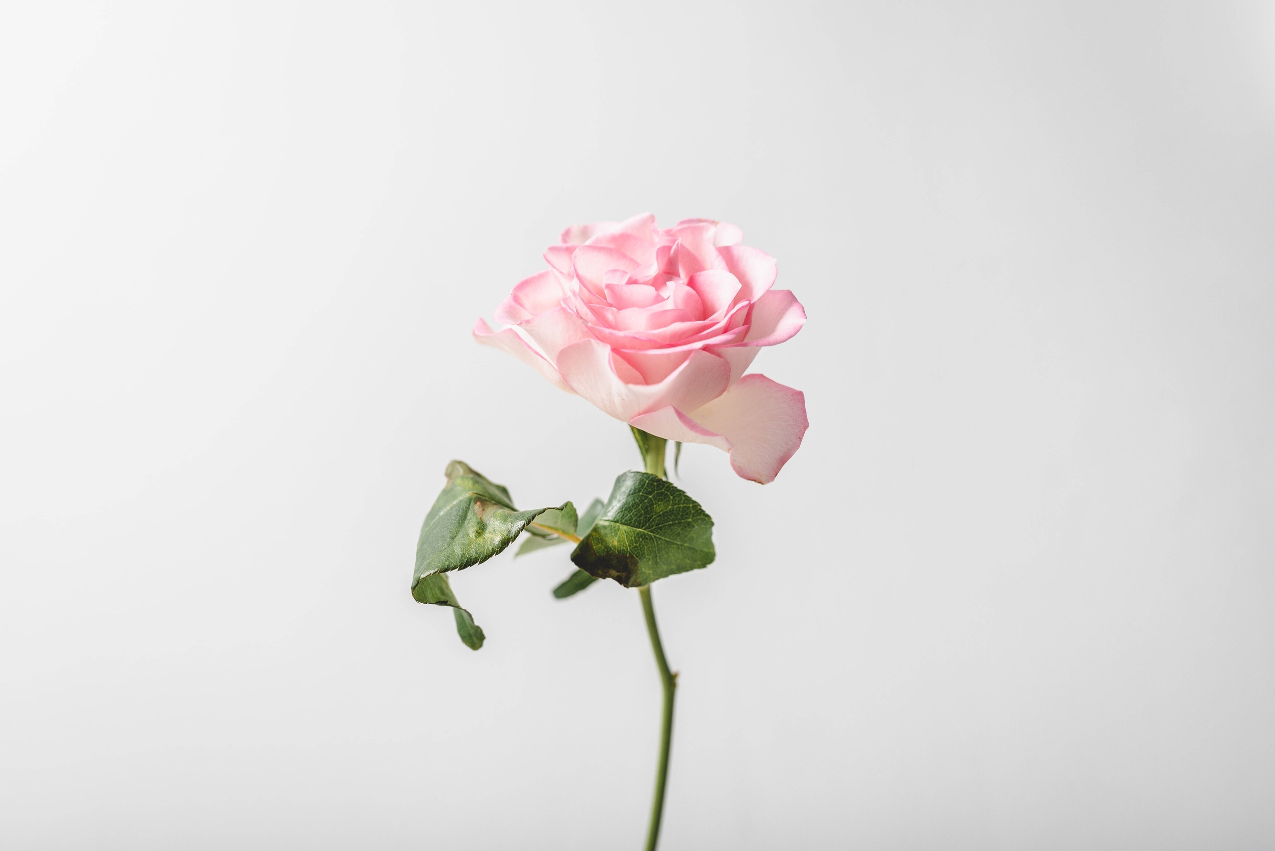 Immagine: oscar-helgstrand-guyTcnpRkaw-unsplash