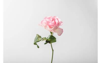 Immagine: oscar-helgstrand-guyTcnpRkaw-unsplash