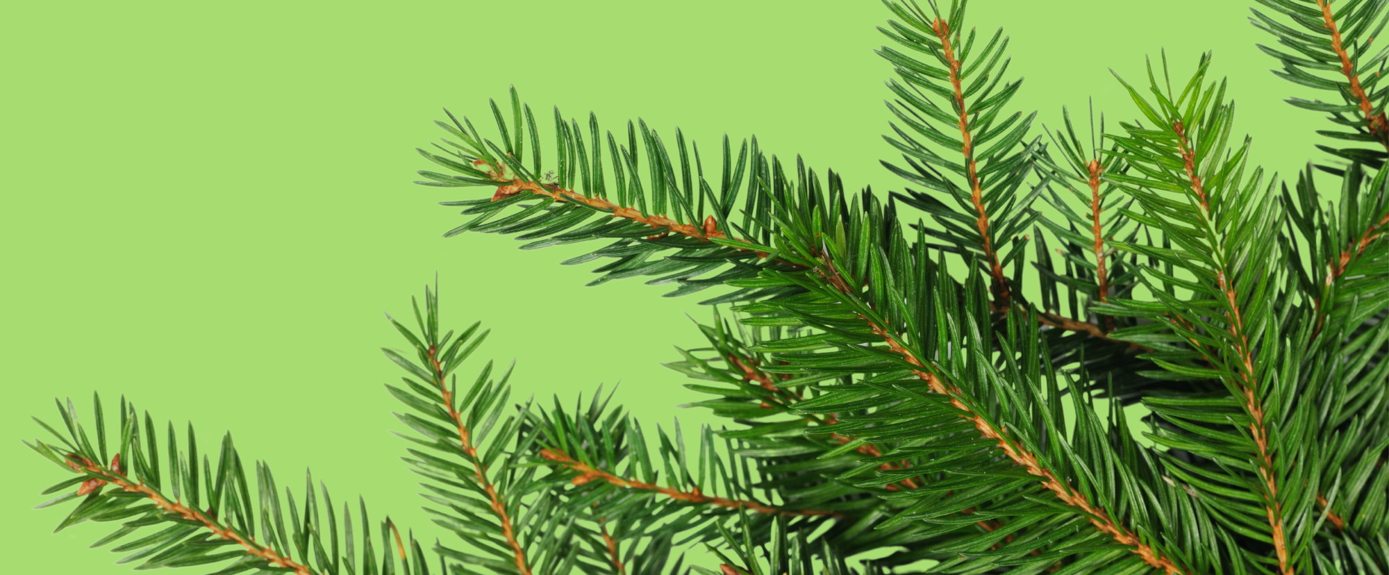 Immagine: partecipare