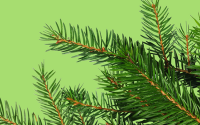 Immagine: partecipare