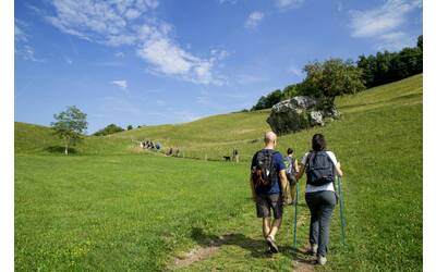 Immagine: pexels-563ska-16646785