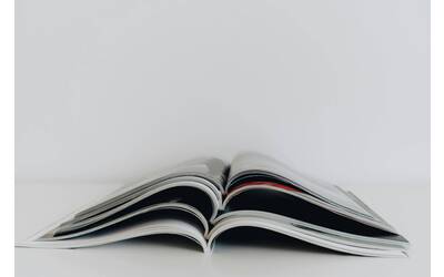 Immagine: pexels-alleksana-4271613