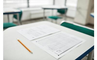 Immagine: pexels-andy-barbour-6683393