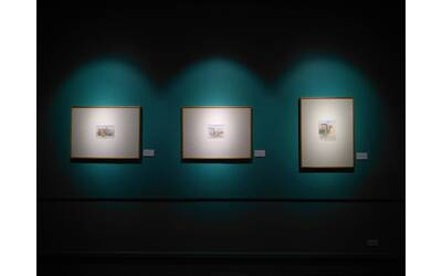 Immagine: pexels-atlasworld-1674049