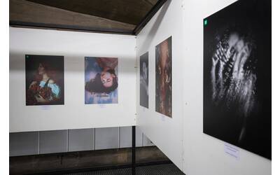 Immagine: pexels-bertellifotografia-11489976