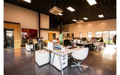 Immagine: pexels-cadomaestro-1170412