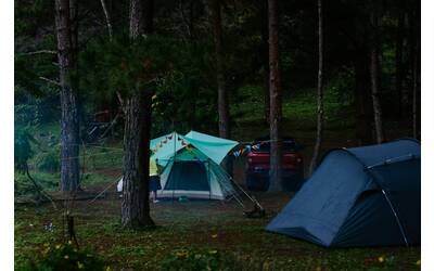 Immagine: pexels-dongdilac-29784878