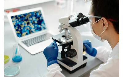 Immagine: pexels-edward-jenner-4033145