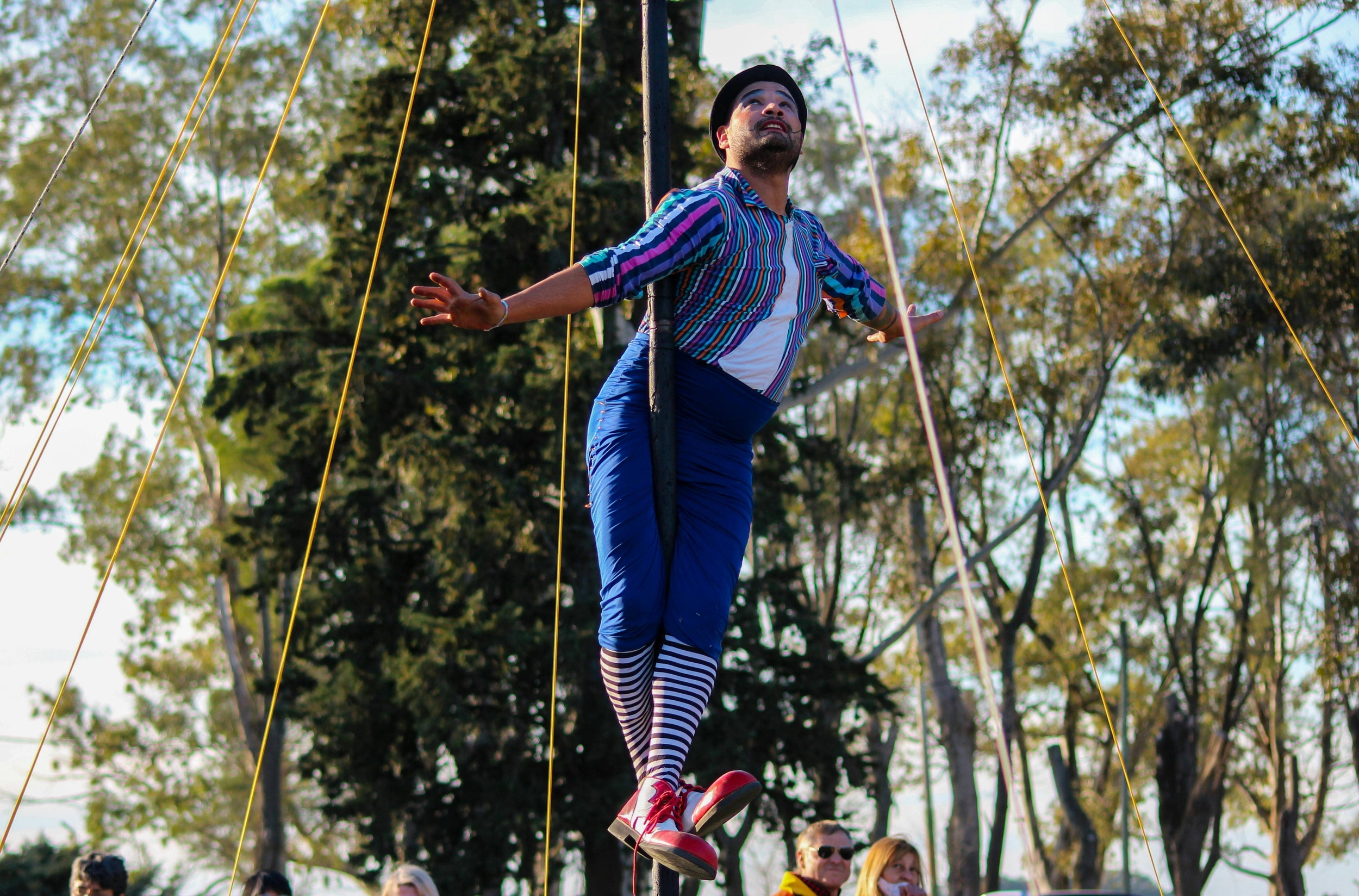 Immagine: pexels-gaston-mousist-57404286-9266712