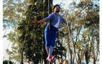 Immagine: pexels-gaston-mousist-57404286-9266712