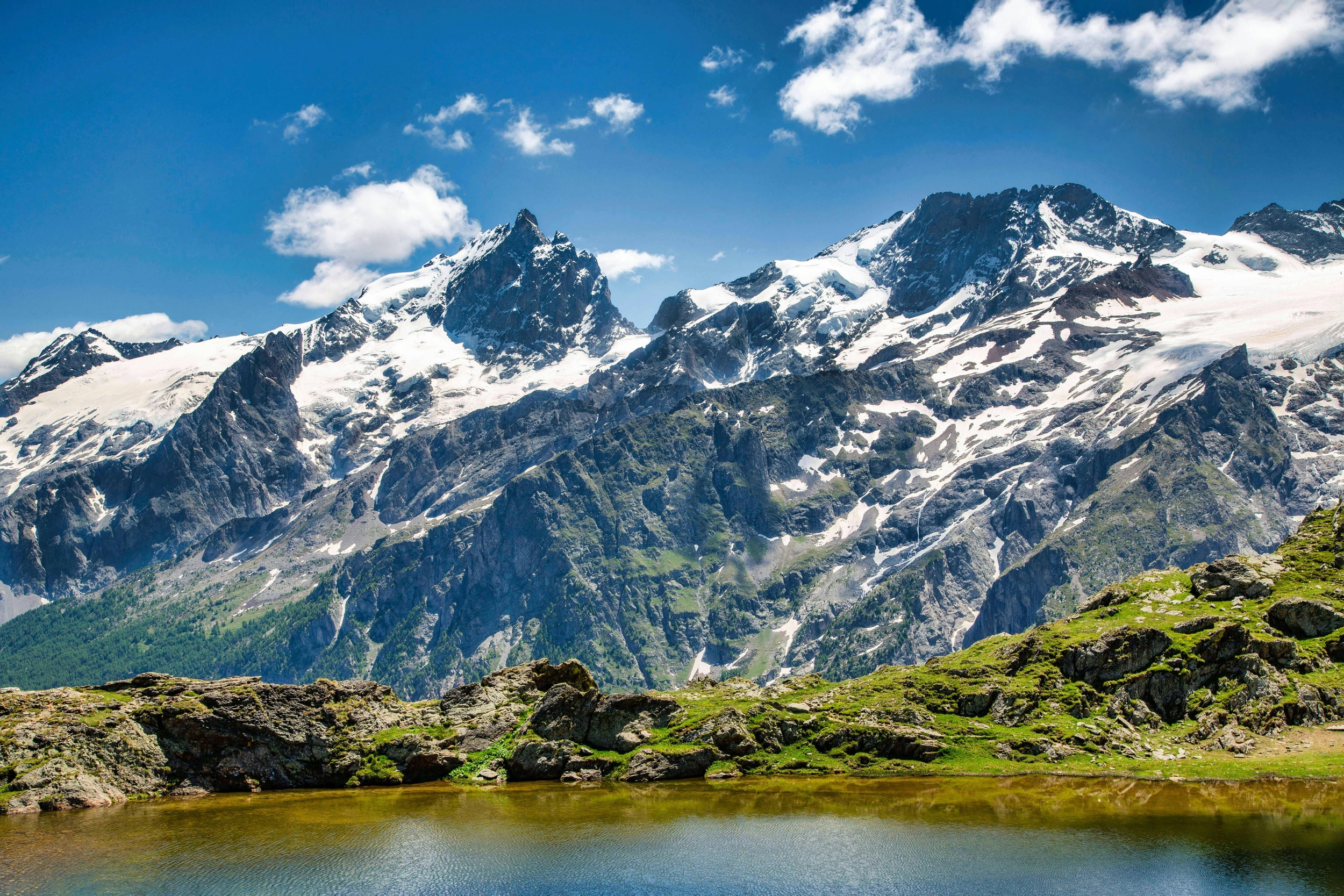 Immagine: pexels-gilles-35395042