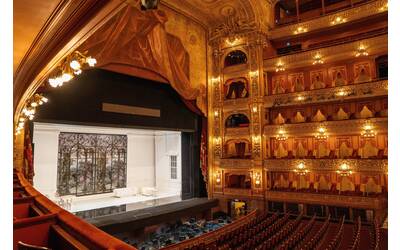 Immagine: pexels-jan-tang-598592438-34995890