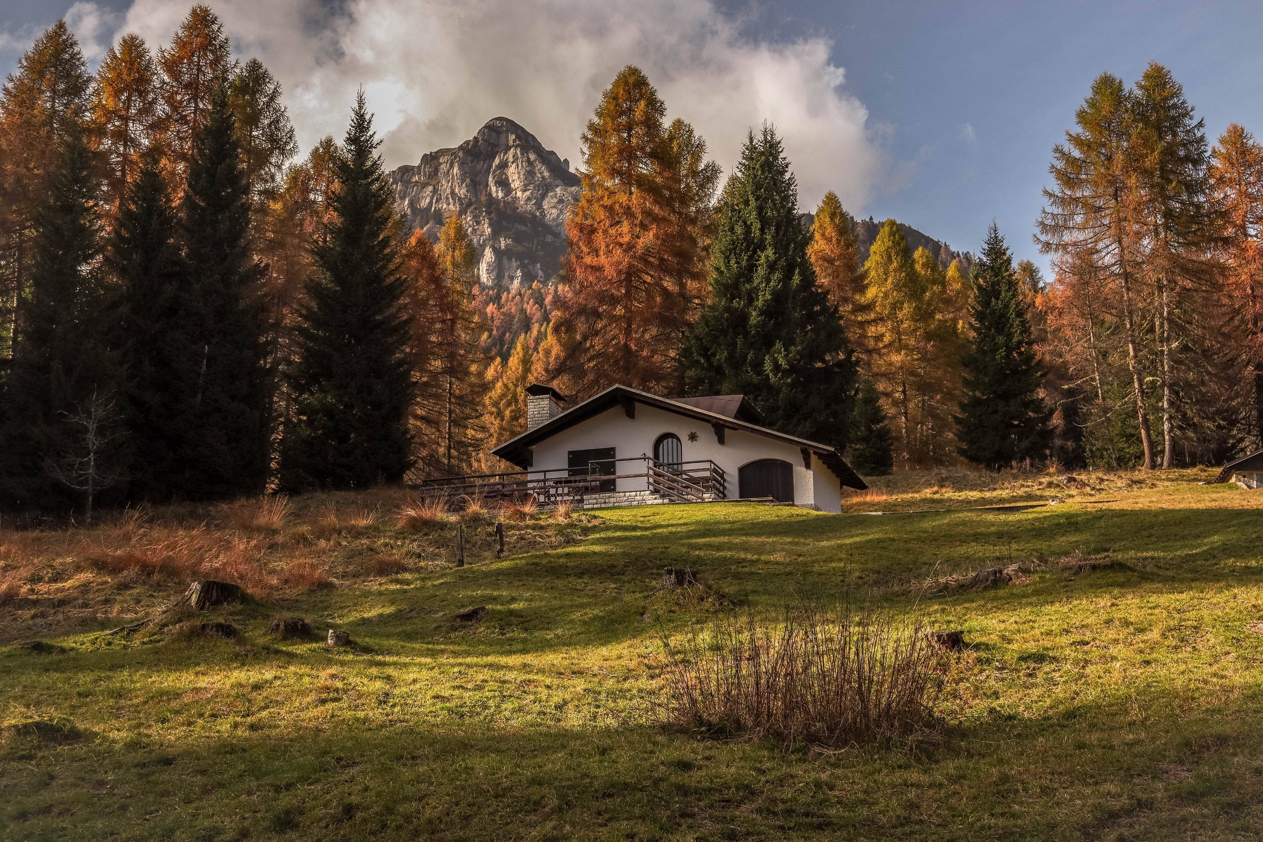 Immagine: pexels-lorenza-magnaghi-660554185-29425117