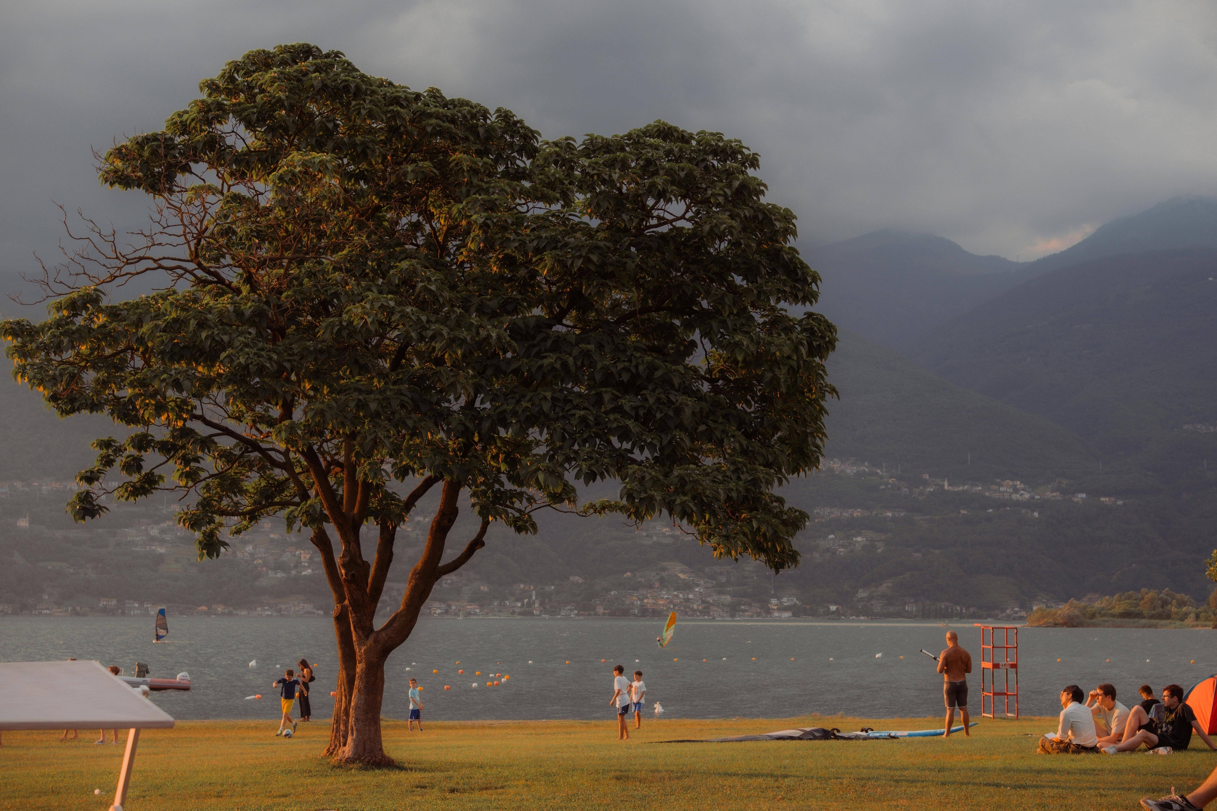 Immagine: pexels-louis-malaurie-wan-2160044740-36467975