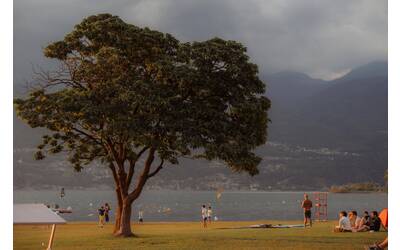 Immagine: pexels-louis-malaurie-wan-2160044740-36467975