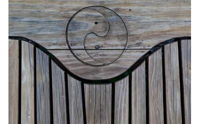 Immagine: pexels-magda-ehlers-pexels-6364053