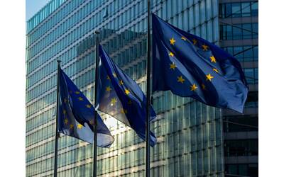 Immagine: pexels-marco-288924445-13153479