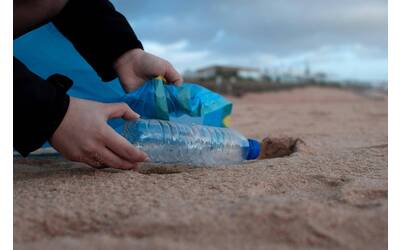 Immagine: pexels-marta-ortigosa-1877261-3480494