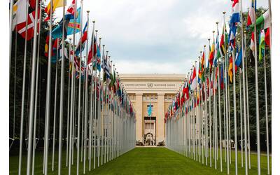 Immagine: pexels-matreding-4468974