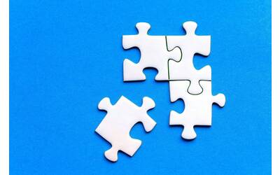 Immagine: pexels-mike-van-schoonderwalt-1884800-5505122