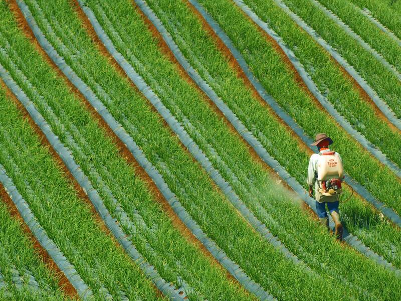 Esami di Stato per Agrotecnicə