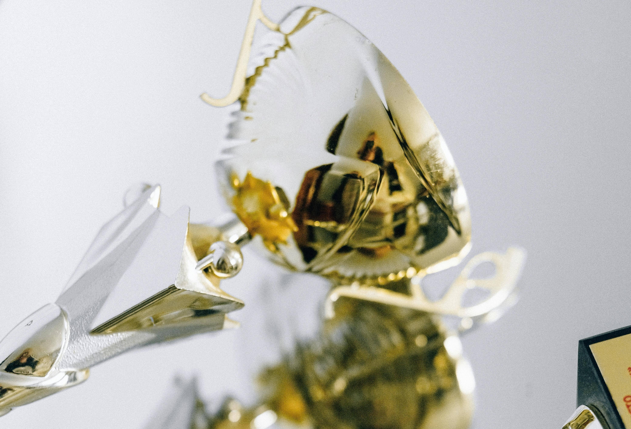 Immagine: pexels-n-voitkevich-6532369