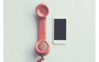 Immagine: pexels-neosiam-594452