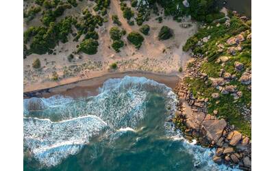 Immagine: pexels-tomas-malik-793526-1998438