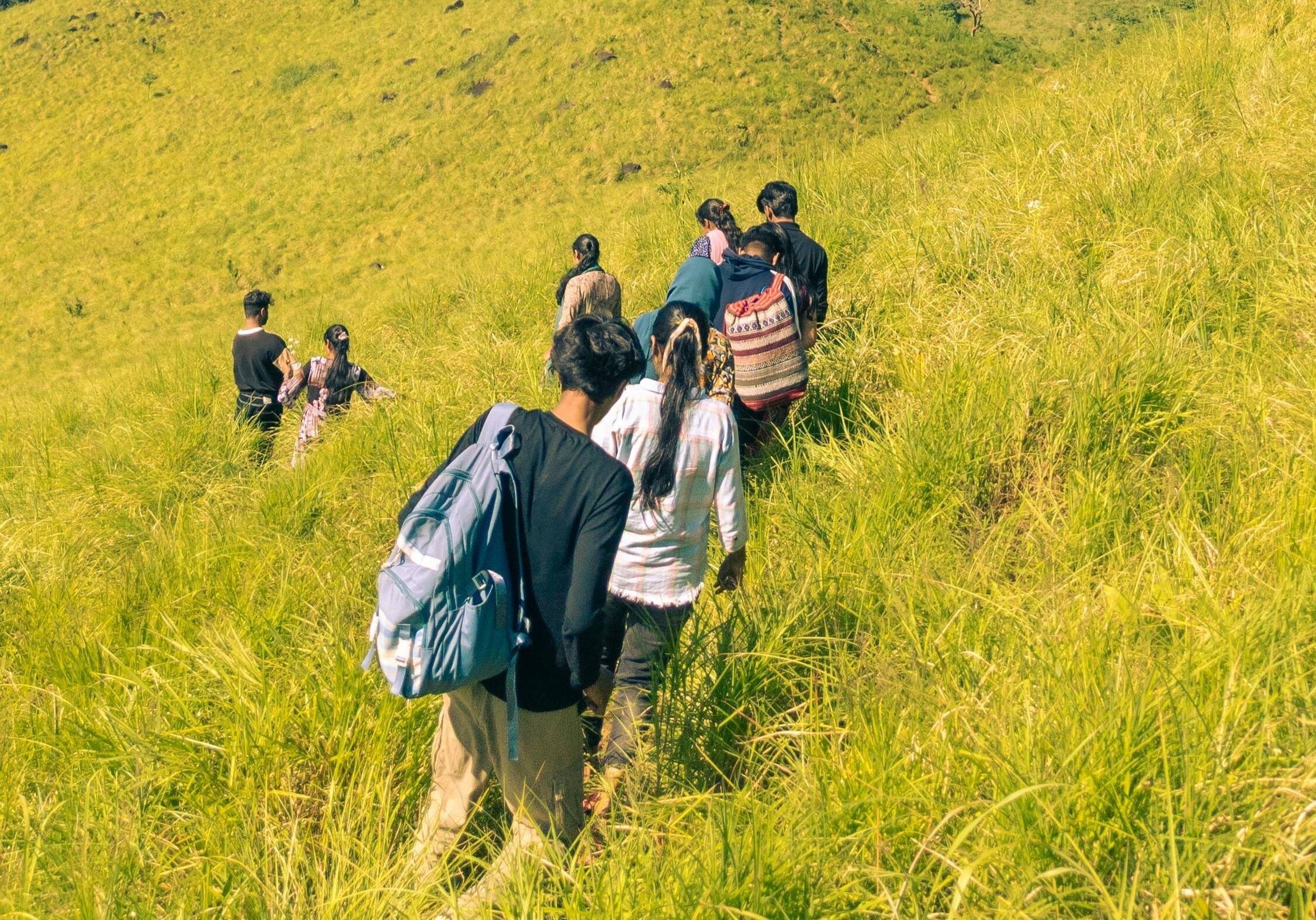 Immagine: pexels-vinay_-pv_-770152797-18838730 (1)