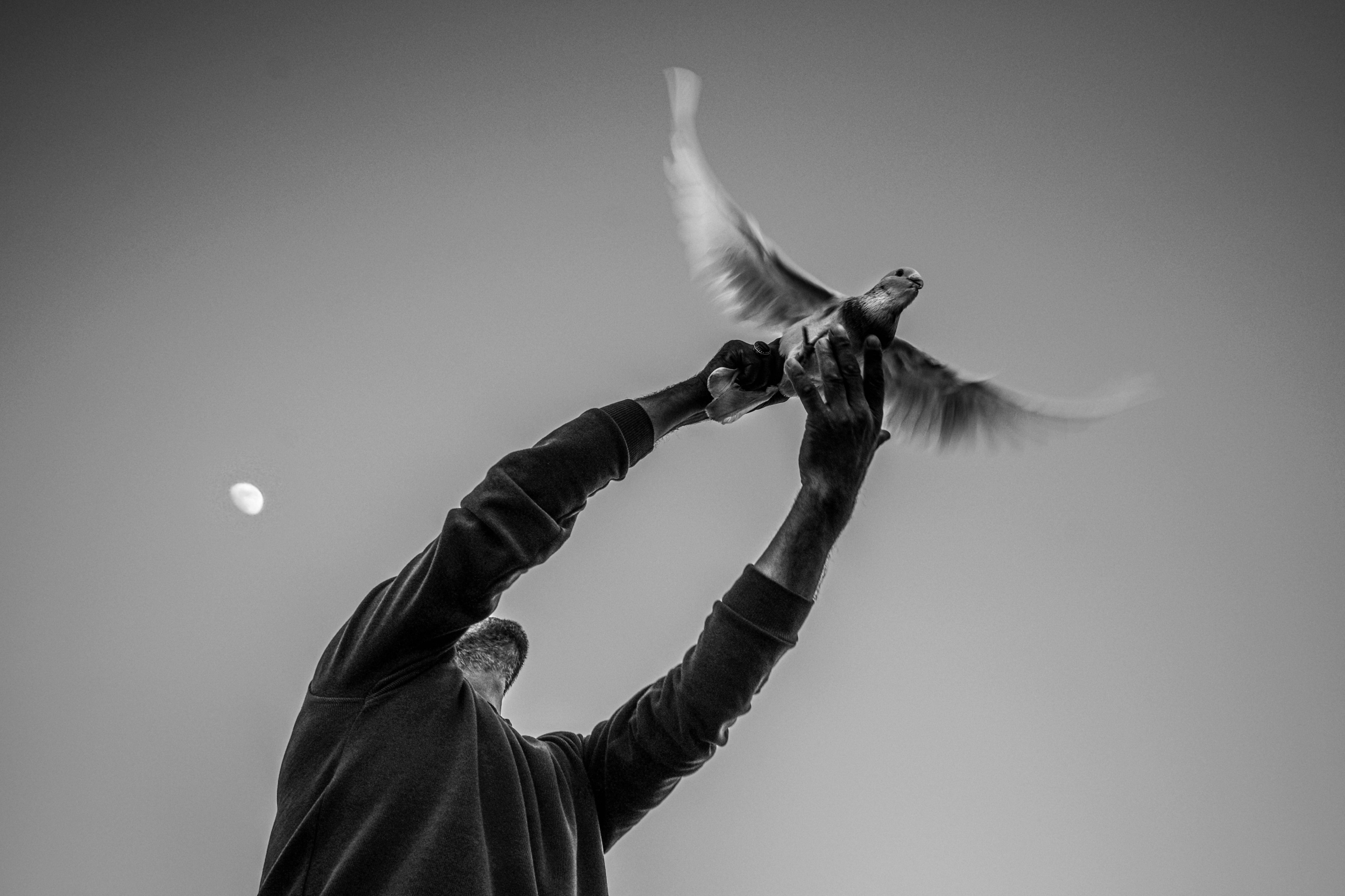 Immagine: Pexels