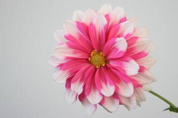 Immagine: phillip-larking-G7zQ_y2cSGk-unsplash