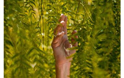 Immagine: rafael-albornoz-WHY_c8sxghg-unsplash