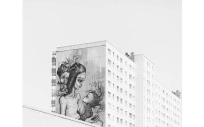 Immagine: roman-kraft-unsplash