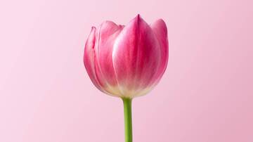 Immagine: roonz-ATgfRqpFfFI-unsplash