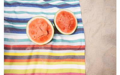 Immagine: Scott-Webb-Unsplash