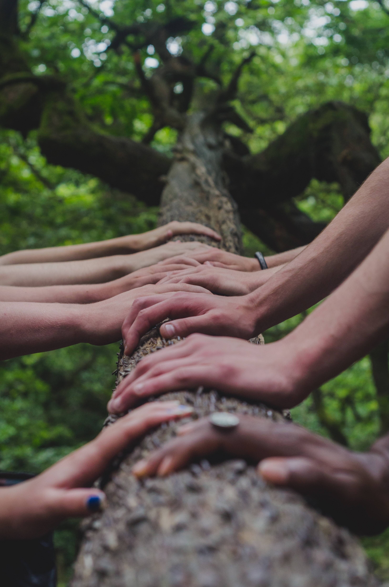 Immagine: shane-rounce-DNkoNXQti3c-unsplash
